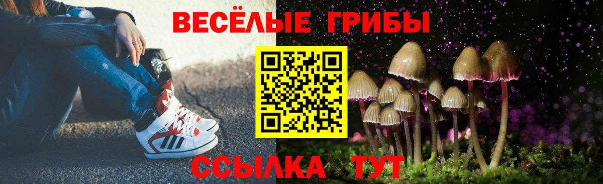 Псилоцибиновые грибы ЛСД Химки
