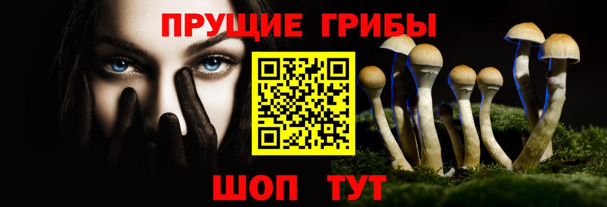 Галлюциногенные грибы ЛСД  Вход с VPN  Химки  Галлюциногенные грибы GOLDEN TEACHER 